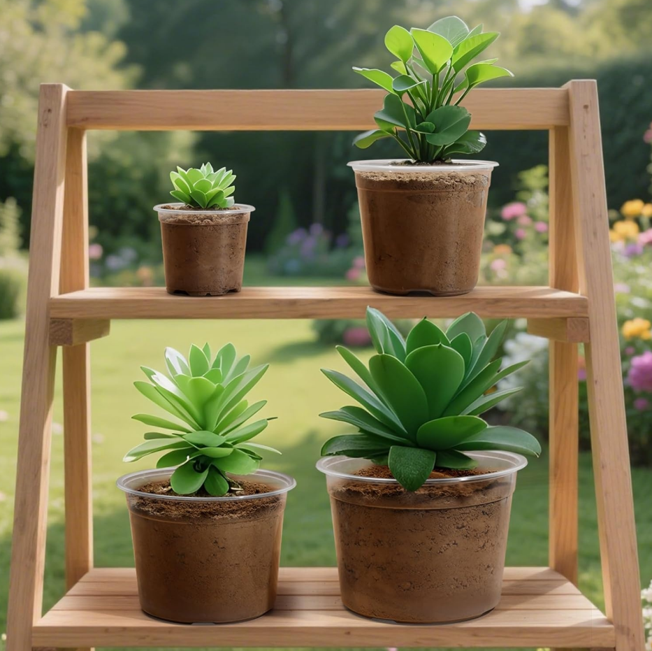 Large Transparent Nursery Pots (10/15/20/25 cm) — 16-Piece Plastic Set with Drainage Holes; Ideal for Succulents and Vegetables - Image 2