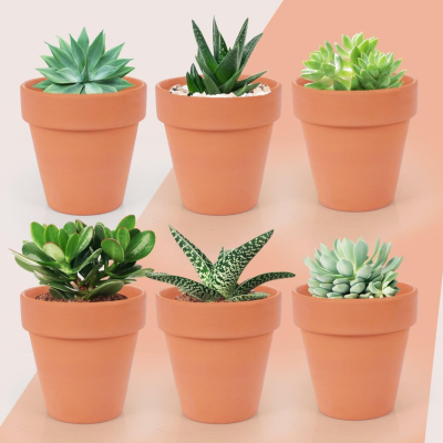 26-Pack Terracotta Pots – 8cm Small Clay Pots with Drainage Holes; Suitable for Indoor & Outdoor Use, Ideal for Crafts and Planting