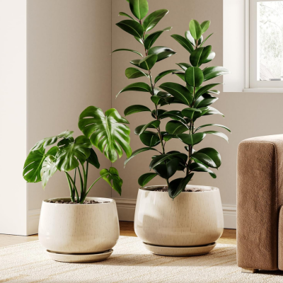 Ceramic Planter Set (2-Piece) — 25cm & 30cm Sizes — Indoor Plant Containers with Drainage Holes & Saucers — Stylish Home Decor (Beige Glaze)