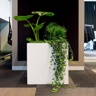 Ceramic Planter — Home Decor & Indoor/Outdoor Container — 50cm Square White Pot — Suitable for Balconies & Offices — Ideal for Succulents & Flowers